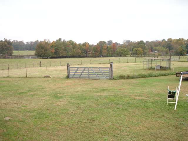 3991 Old Furnace Road Chesnee, SC 29323 - Photo 8 of 25 Gallery Image 8