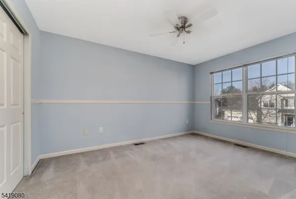 a view of a yard with large trees