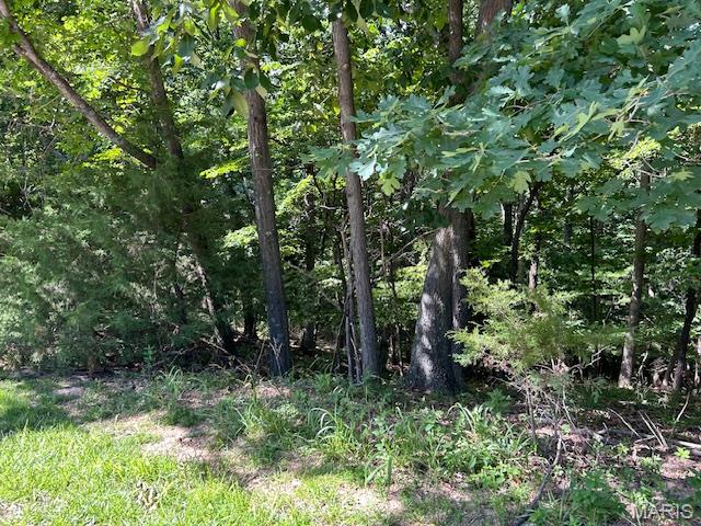 817 Wildflower Valley Road High Ridge, MO 63049 - Photo 4 of 11