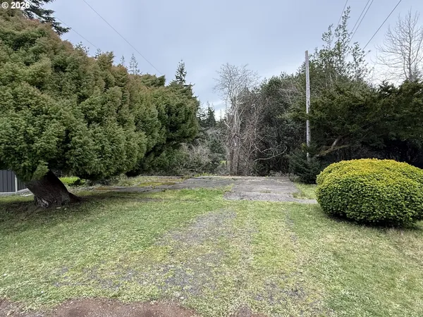 a view of a garden with a bench