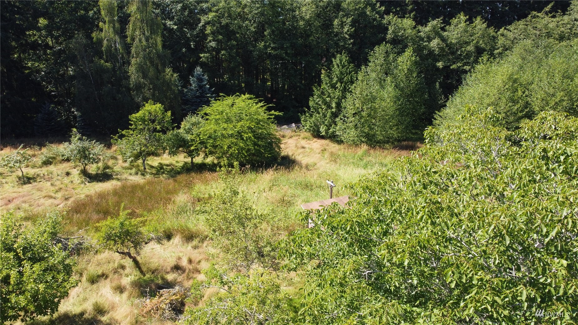 2260 Swansonville Road Port Ludlow, WA 98365 - Photo 20 of 30 Gallery Image 20