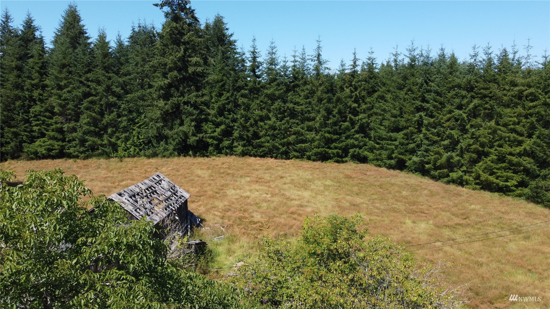 2260 Swansonville Road Port Ludlow, WA 98365 - Photo 21 of 30 Gallery Image 21