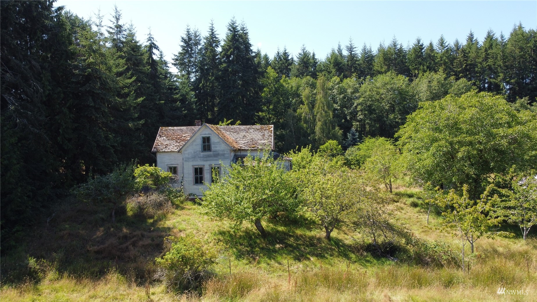 2260 Swansonville Road Port Ludlow, WA 98365 - Photo 4 of 30 Gallery Image 4