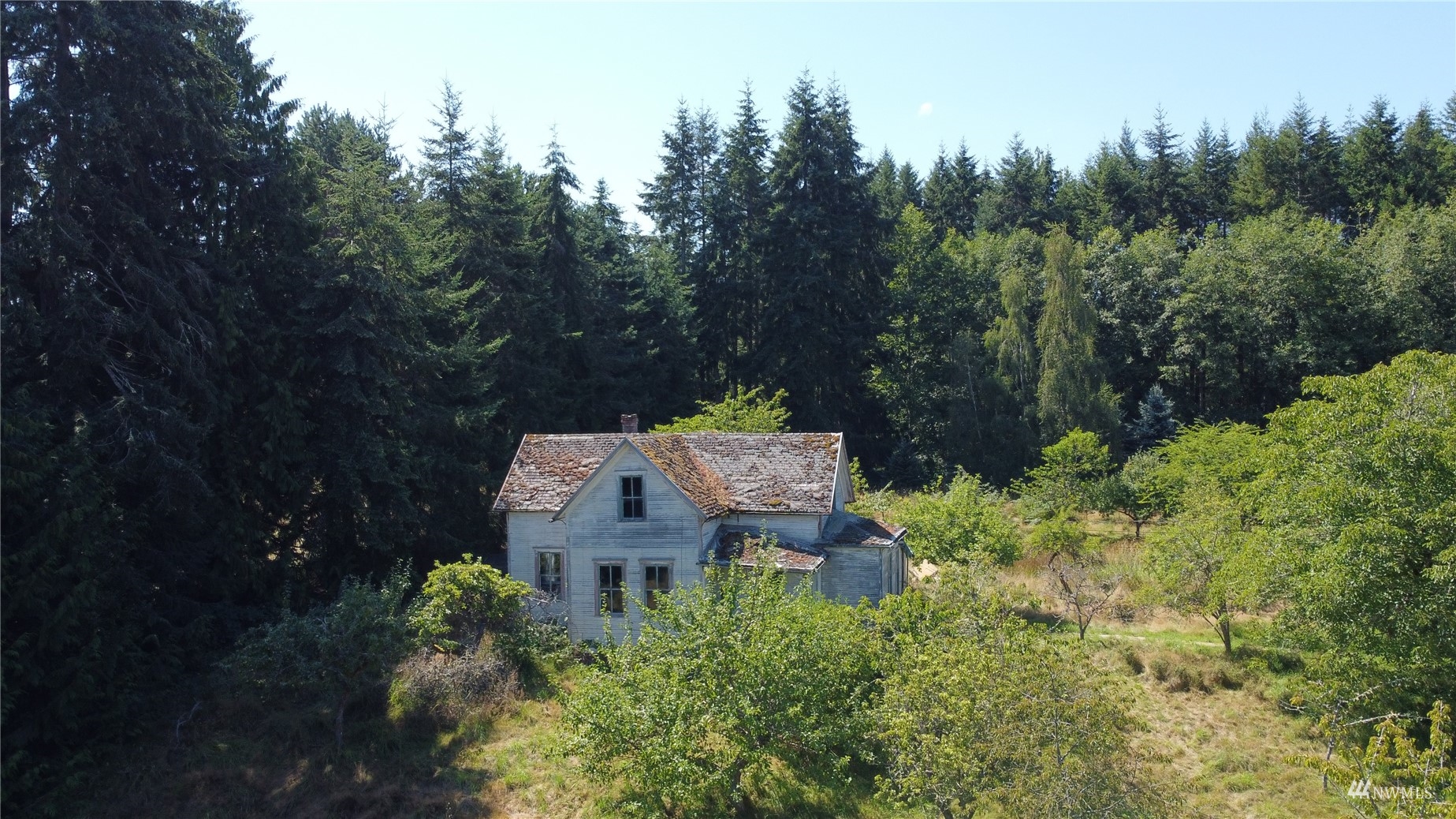2260 Swansonville Road Port Ludlow, WA 98365 - Photo 6 of 30 Gallery Image 6