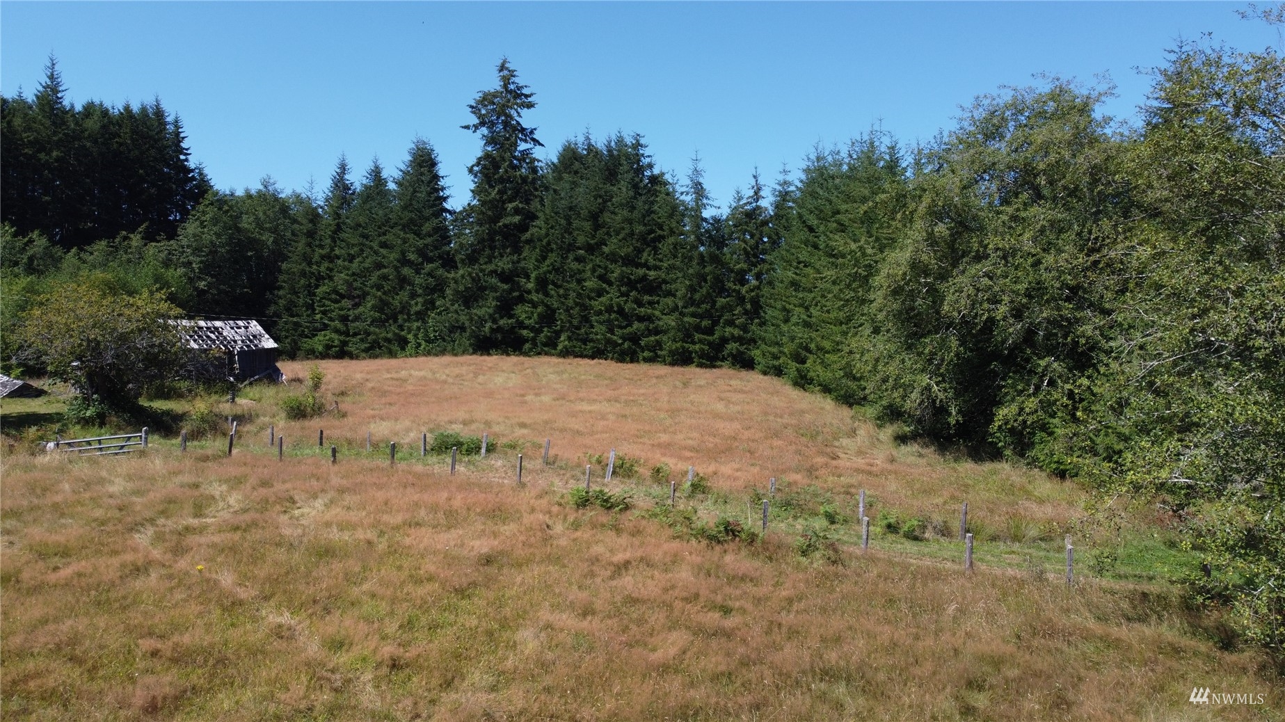 2260 Swansonville Road Port Ludlow, WA 98365 - Photo 8 of 30 Gallery Image 8