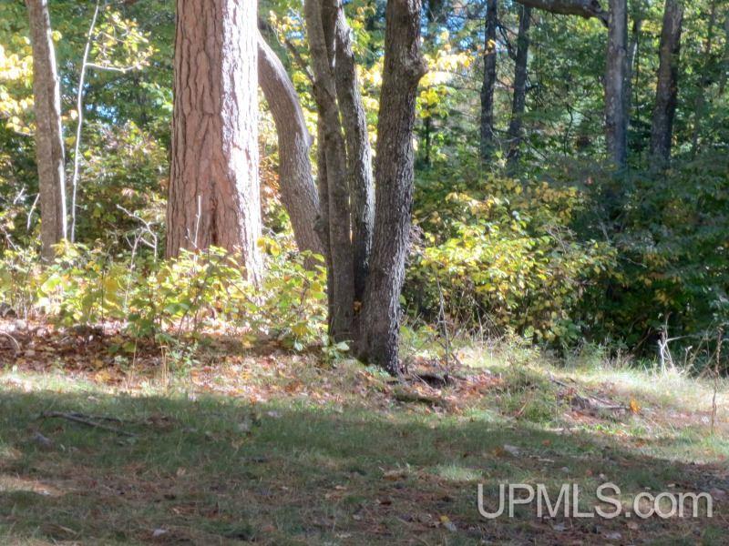 3763 Frog Lake Road North Florence, WI 54121 - Photo 21 of 23 Gallery Image 21