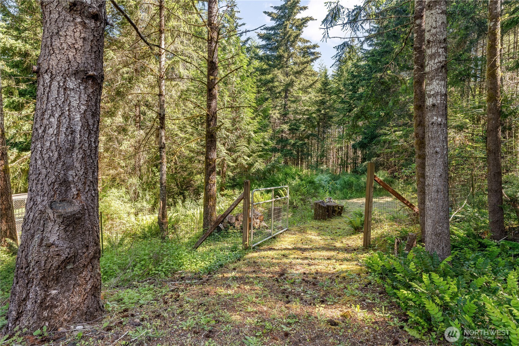 110 East Glacier Crest Road Grapeview, WA 98546 - Photo 22 of 40