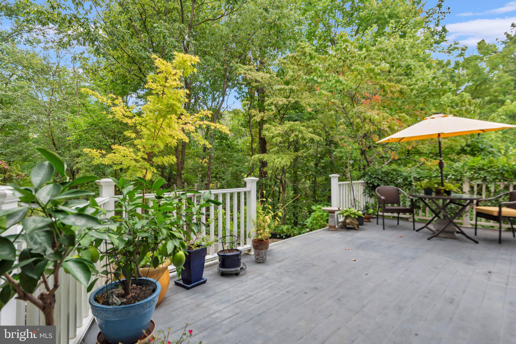 527 Forest Road Riva, MD 21140 - Photo 24 of 100 Porch on the Waterside of the house