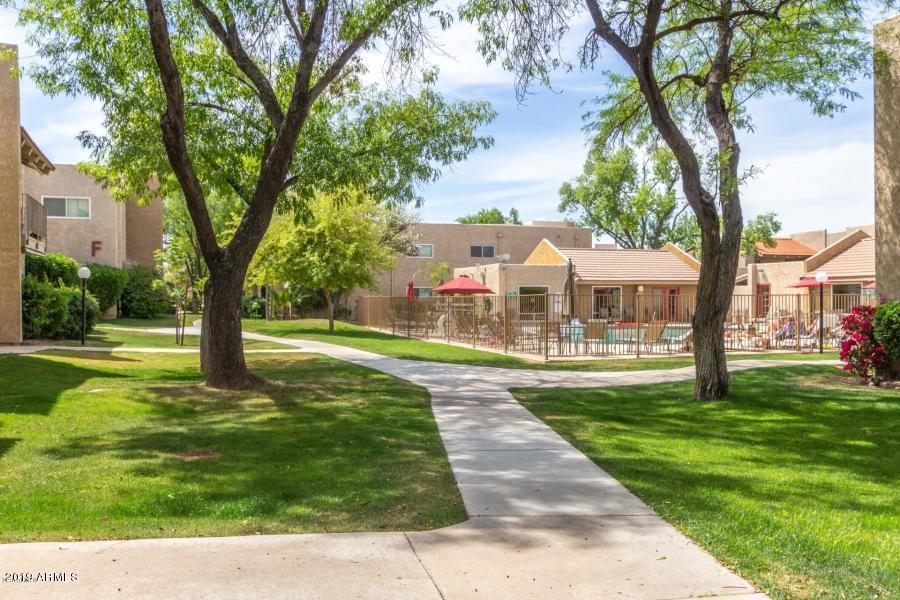 5525 East Thomas Road, Unit B12 Phoenix, AZ 85018 - Photo 19 of 20 Pool area