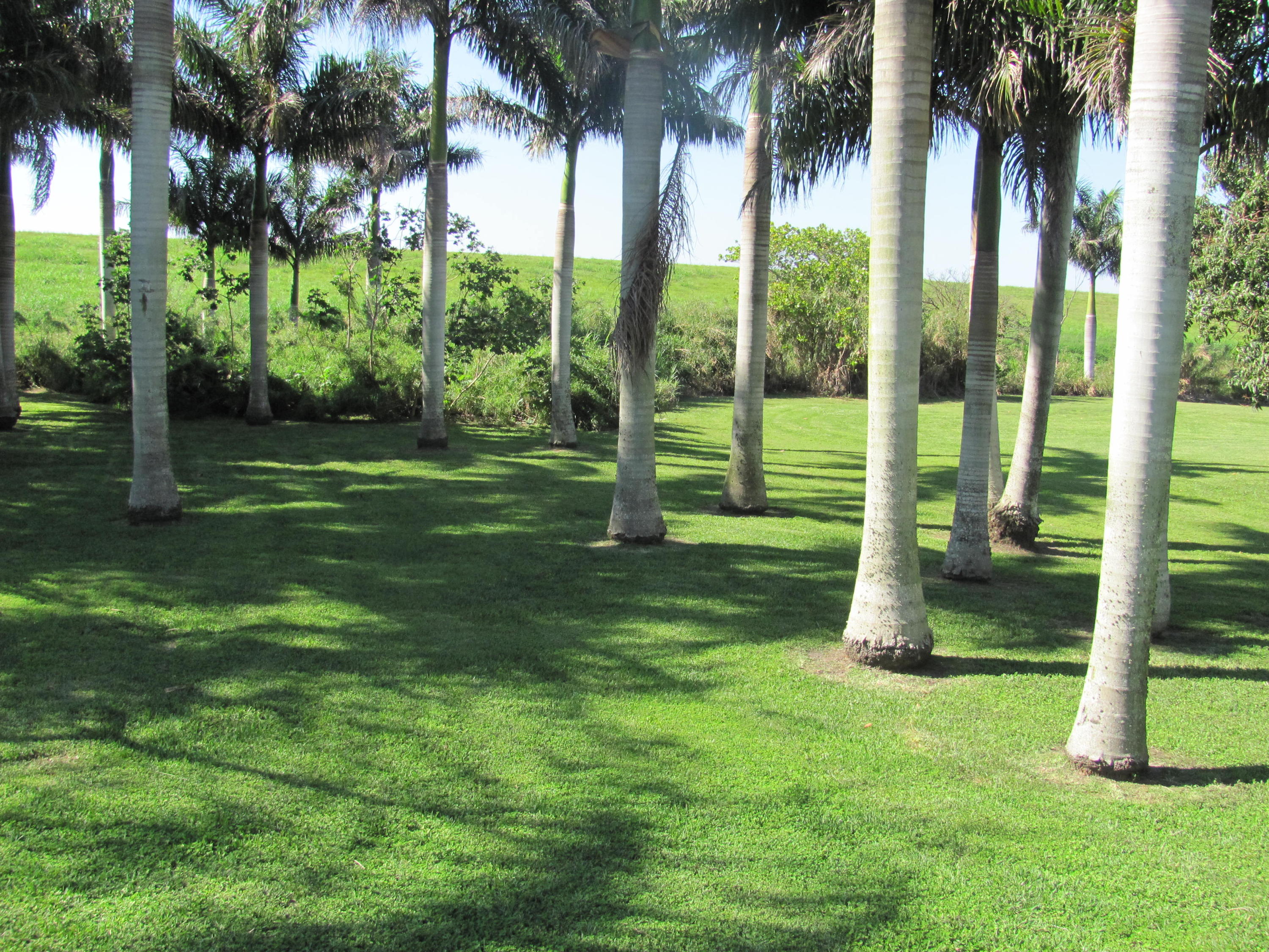 2431 Bacom Point Road Pahokee, FL 33476 - Photo 13 of 13 Backyard