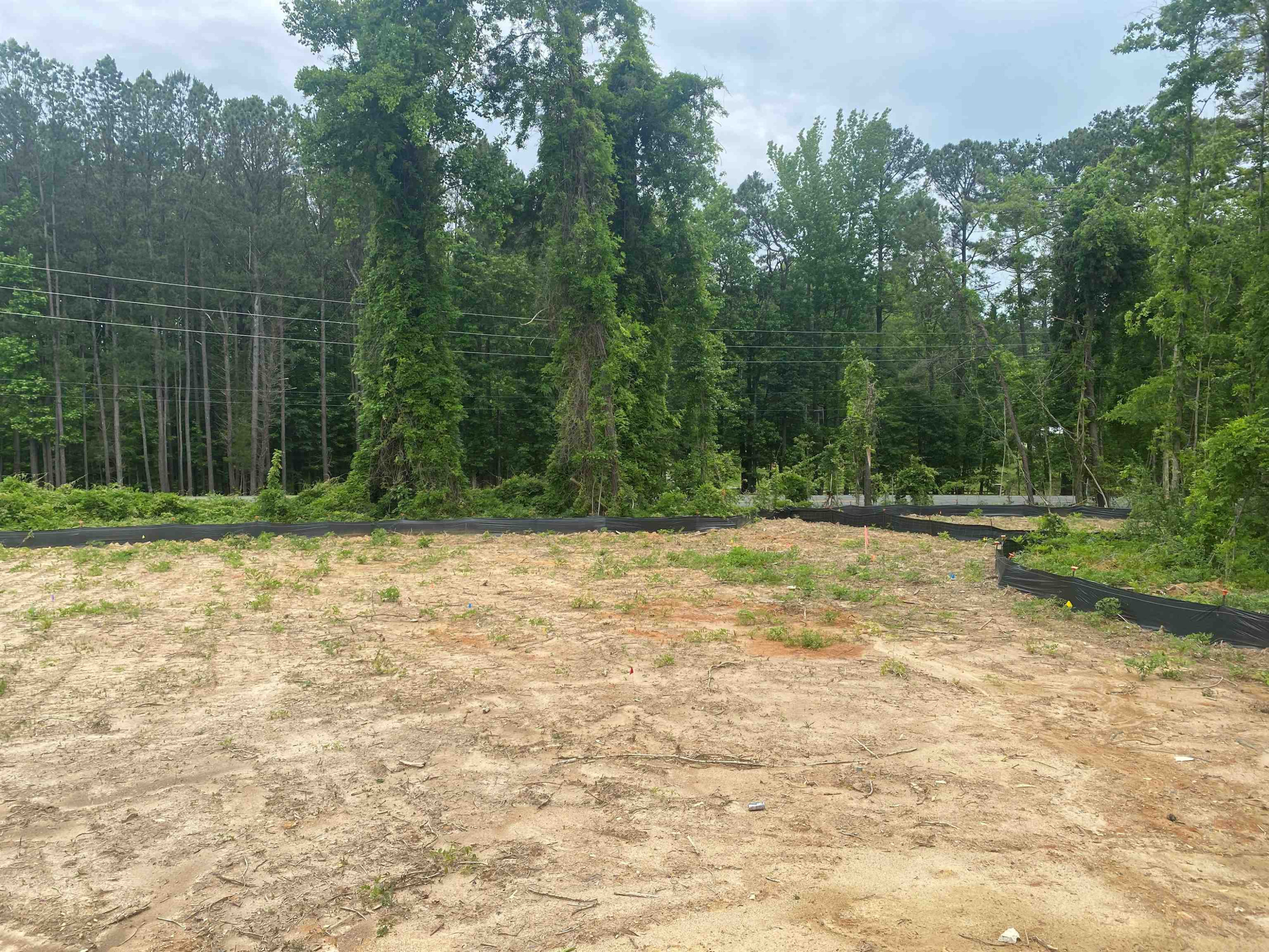 110 Hobby Farm Road Pittsboro, NC 27312 - Photo 24 of 42 Photo 24