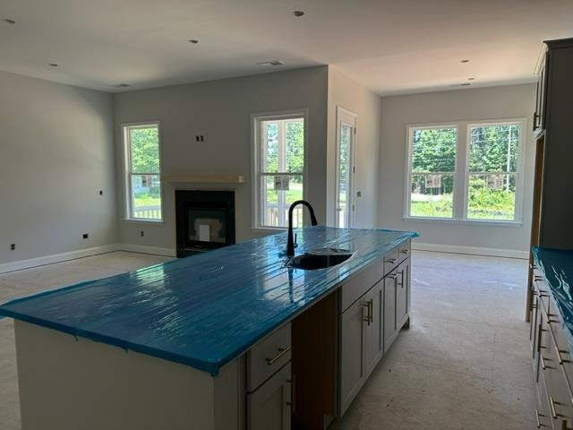 110 Hobby Farm Road Pittsboro, NC 27312 - Photo 4 of 42 Photo 4