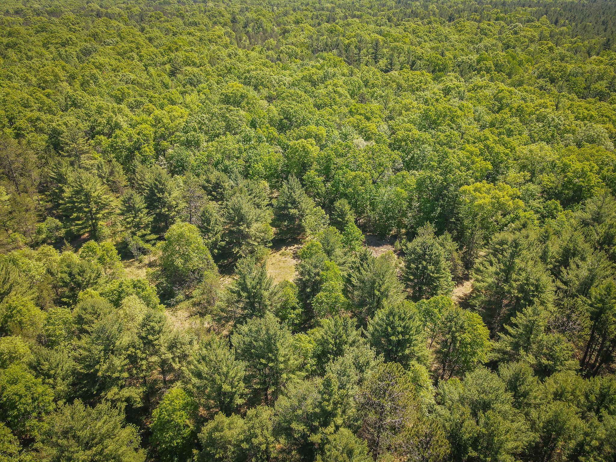 4993 Little River Road Manistee, MI 49660 - Photo 50 of 62 DJI_0321