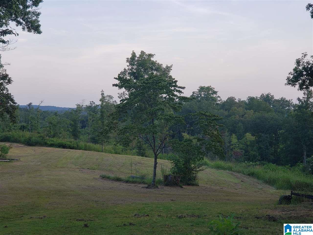 8480 Sharit Dairy Road, Unit LOT 3 Gardendale, AL 35071 - Photo 8 of 9