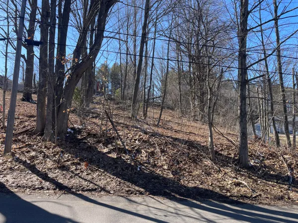 $9,900 | North Pine Street, Shelby, MI 49455