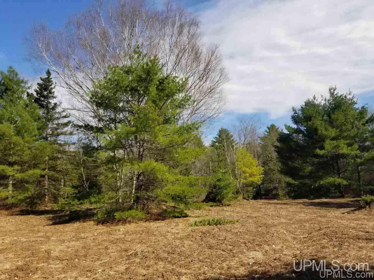 Tbd 2224 Road Wetmore, MI 49895 - Photo 9 of 14