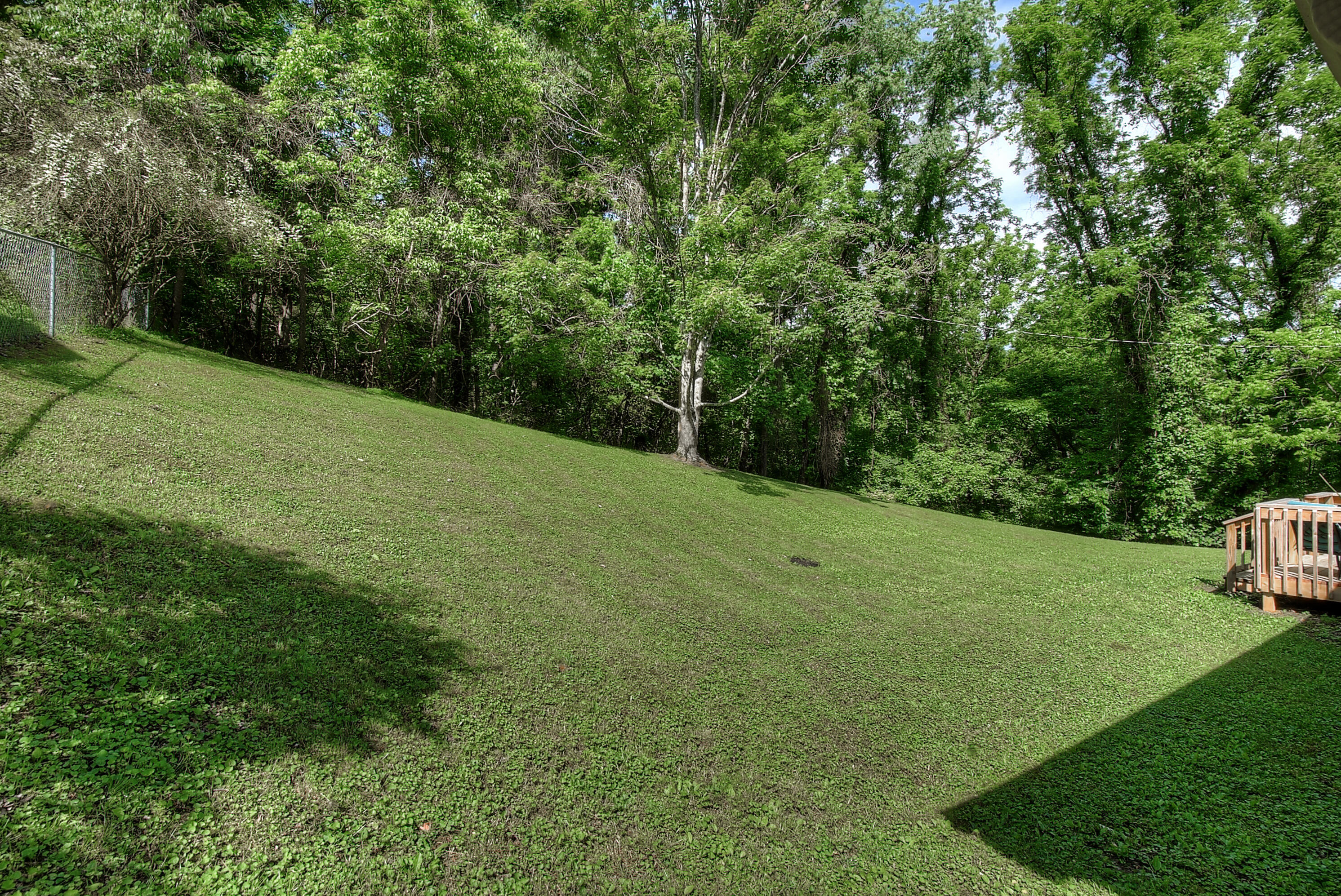 564 Jobe Road Elizabethton, TN 37643 - Photo 34 of 37 DSC_0547_48_49_50_51_52