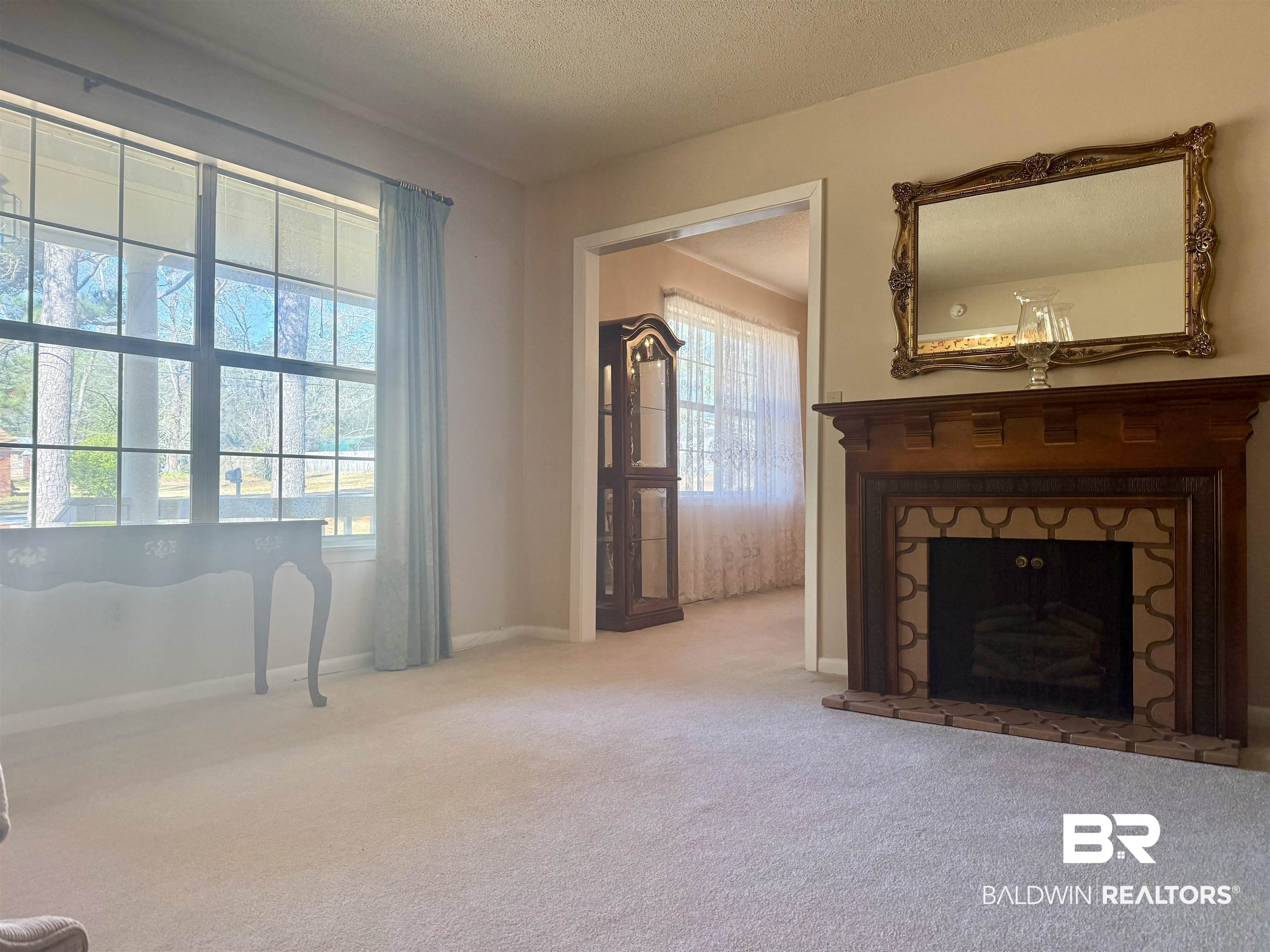 215 Young Street Brewton, AL 36426 - Photo 10 of 25 Unfurnished living room featuring carpet, a textured ceiling, and a stone fireplace