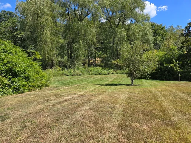 a view of a field with trees