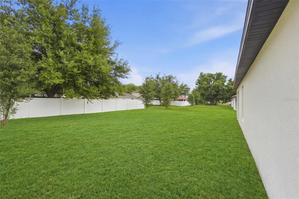 1668 Gopher Tree Street Mascotte, FL 34753 - Photo 22 of 25