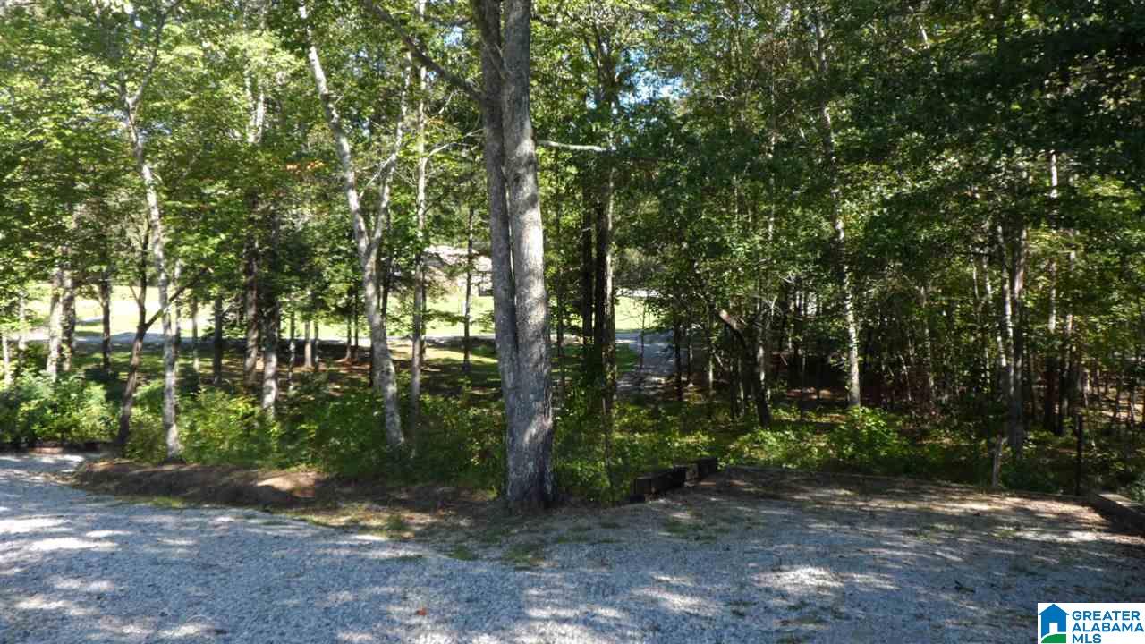 3096 New Liberty Road Wellington, AL 36279 - Photo 20 of 21