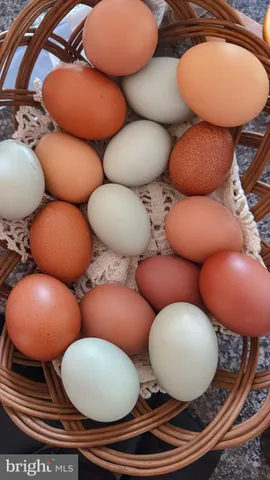 $459,900 | 9195 White Shop Road, Culpeper, VA 22701