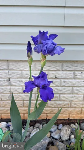 $459,900 | 9195 White Shop Road, Culpeper, VA 22701