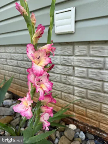 $459,900 | 9195 White Shop Road, Culpeper, VA 22701