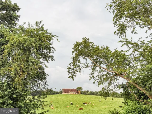 $459,900 | 9195 White Shop Road, Culpeper, VA 22701