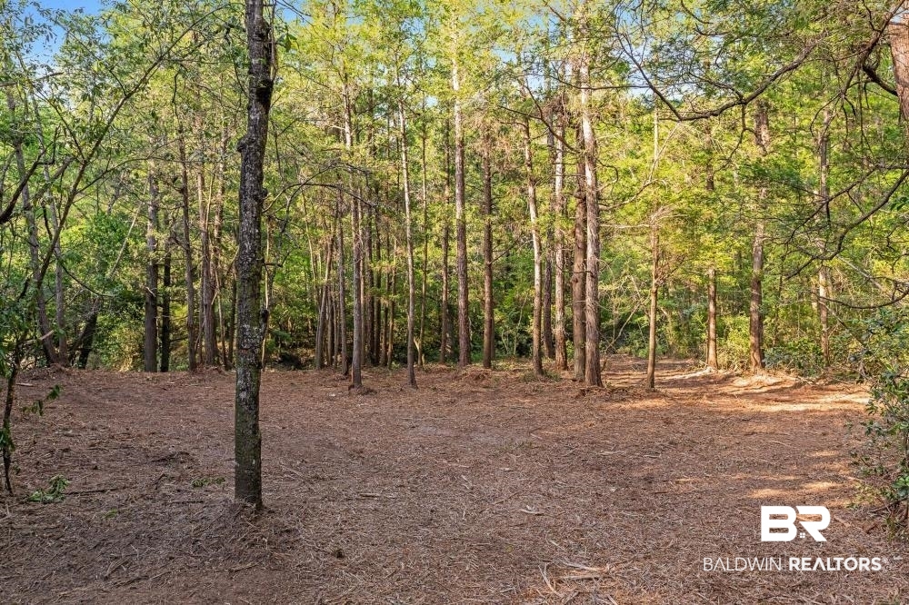 11100 Kali Oka Road Eight Mile, AL 36613 - Photo 36 of 49