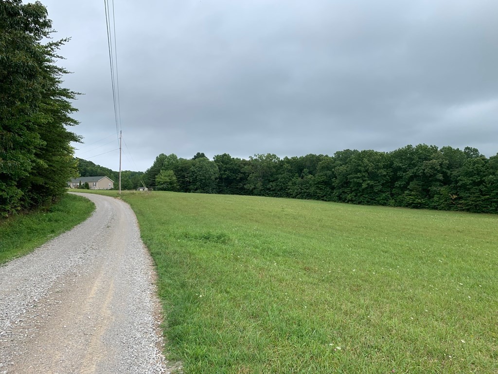 0 Clark Road Pikeville, TN 37367 - Photo 3 of 9 Gallery Image 3