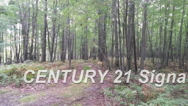 West Huron Road Au Gres, MI 48703 - Photo 9 of 21