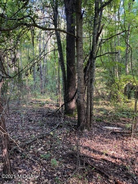 1657 Union Church Road Fort Valley, GA 31030 - Photo 1 of 9 a view of a yard with lots of trees