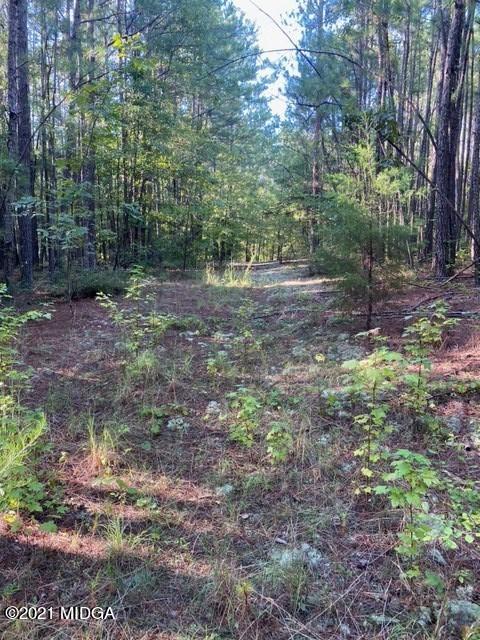 1657 Union Church Road Fort Valley, GA 31030 - Photo 5 of 9 a view of a forest with trees