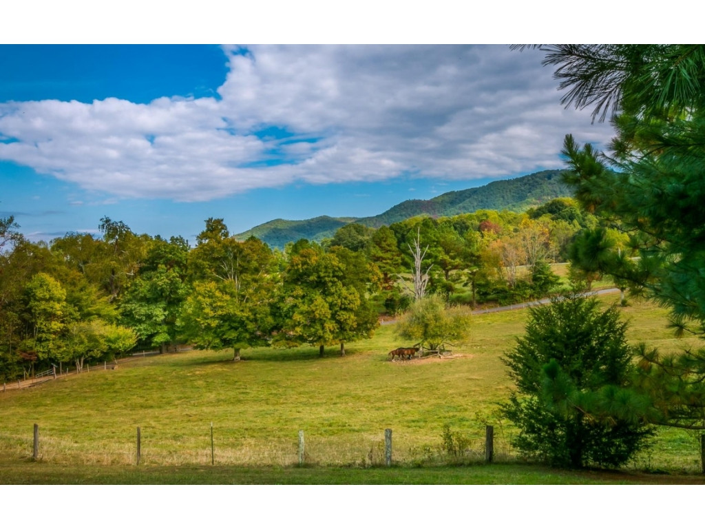 169 Bearfield Road Chuckey, TN 37641 - Photo 5 of 36 Photo 5
