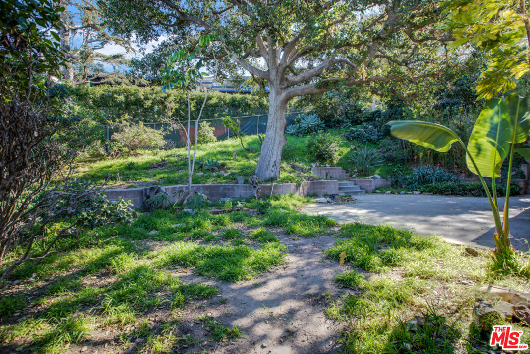 5272 Veronica Street Los Angeles, CA 90008 - Photo 39 of 51 a view of a garden with a trees