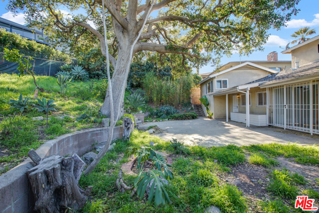 5272 Veronica Street Los Angeles, CA 90008 - Photo 41 of 51 a backyard of a house with plants and large tree