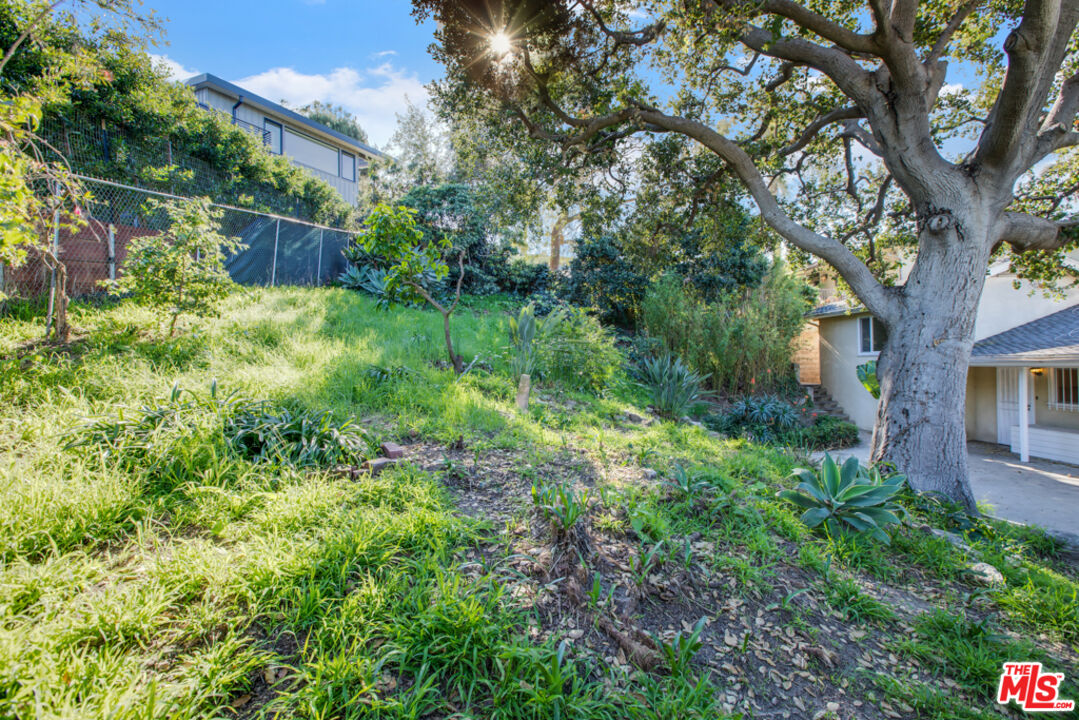5272 Veronica Street Los Angeles, CA 90008 - Photo 47 of 51 a view of a house with a yard and potted plants