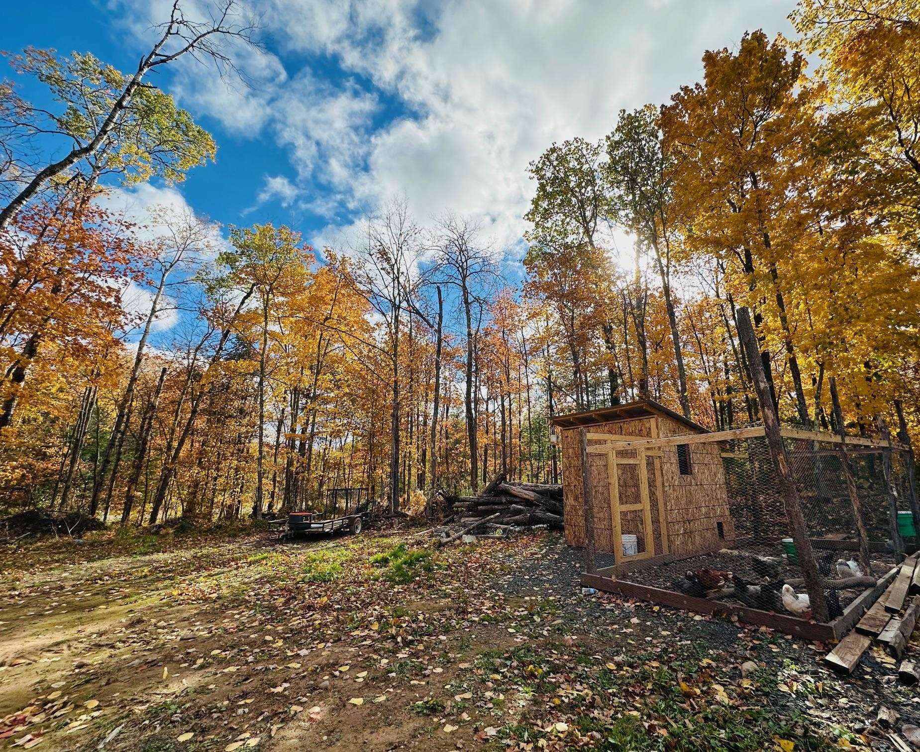 6955 Kolling Road Iron River, WI 54847 - Photo 16 of 22 View of yard featuring an outbuilding
