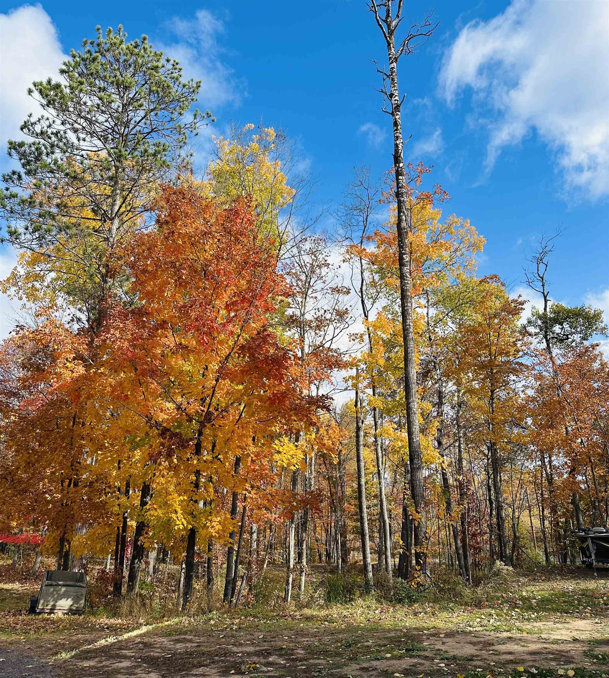 6955 Kolling Road Iron River, WI 54847 - Photo 18 of 22 View of undeveloped land