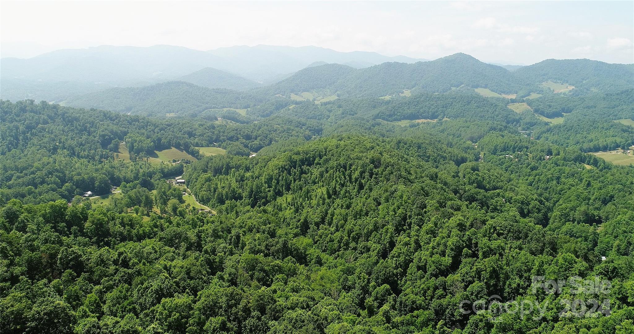 0 Hickory Nut Ridge Road Burnsville, NC 28714 - Photo 1 of 34 Gallery Image 1
