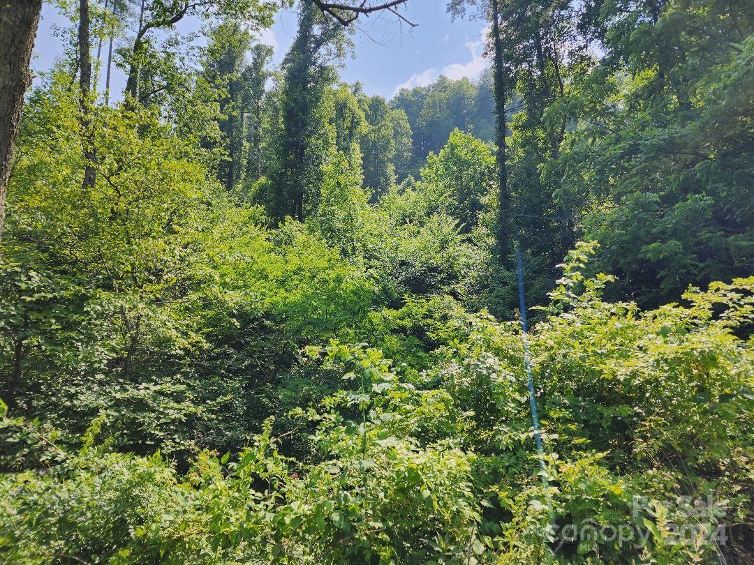 0 Hickory Nut Ridge Road Burnsville, NC 28714 - Photo 11 of 34 Gallery Image 11