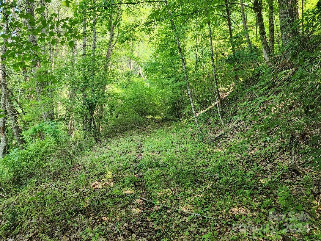 0 Hickory Nut Ridge Road Burnsville, NC 28714 - Photo 15 of 34 Gallery Image 15
