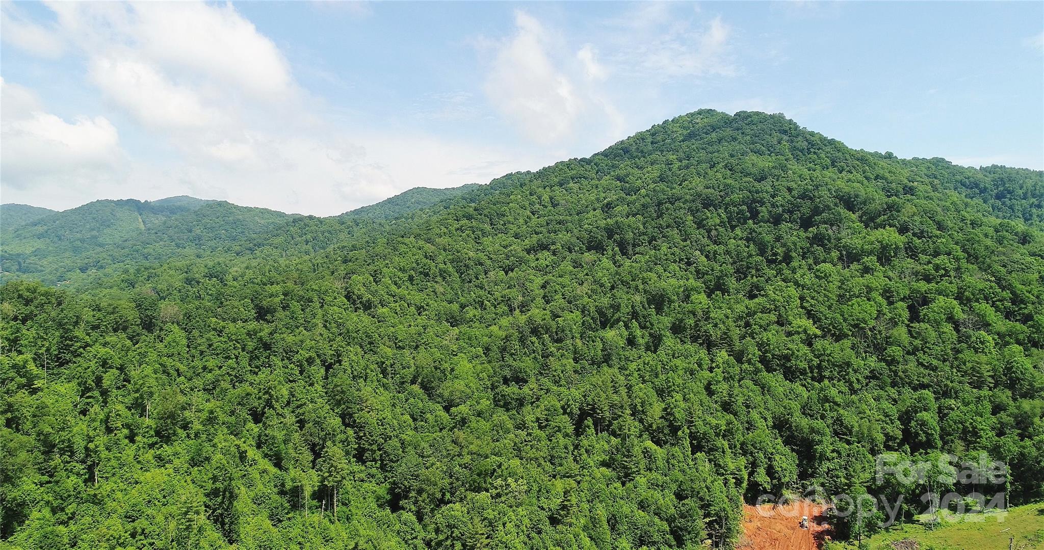 0 Hickory Nut Ridge Road Burnsville, NC 28714 - Photo 20 of 34 Gallery Image 20