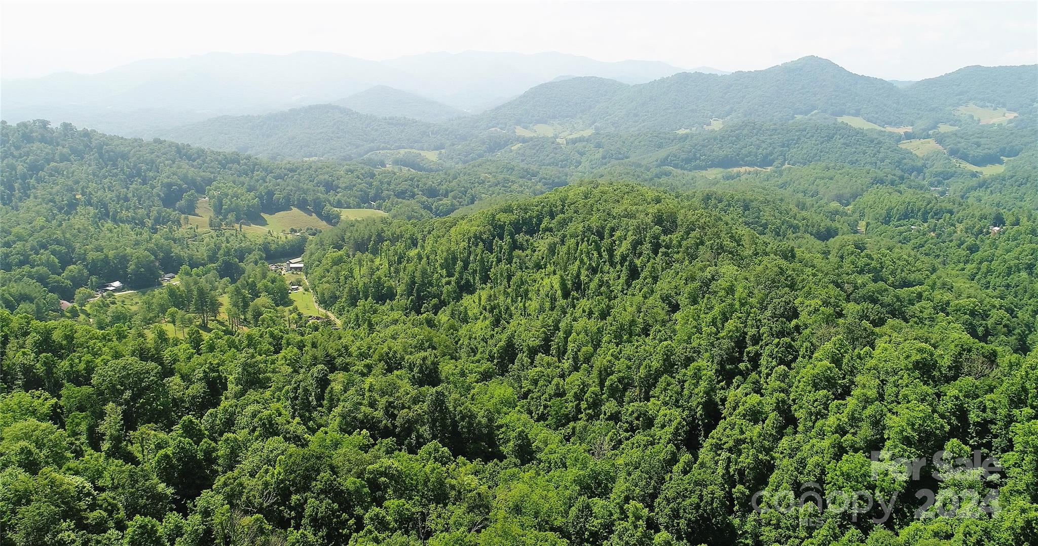 0 Hickory Nut Ridge Road Burnsville, NC 28714 - Photo 24 of 34 Gallery Image 24