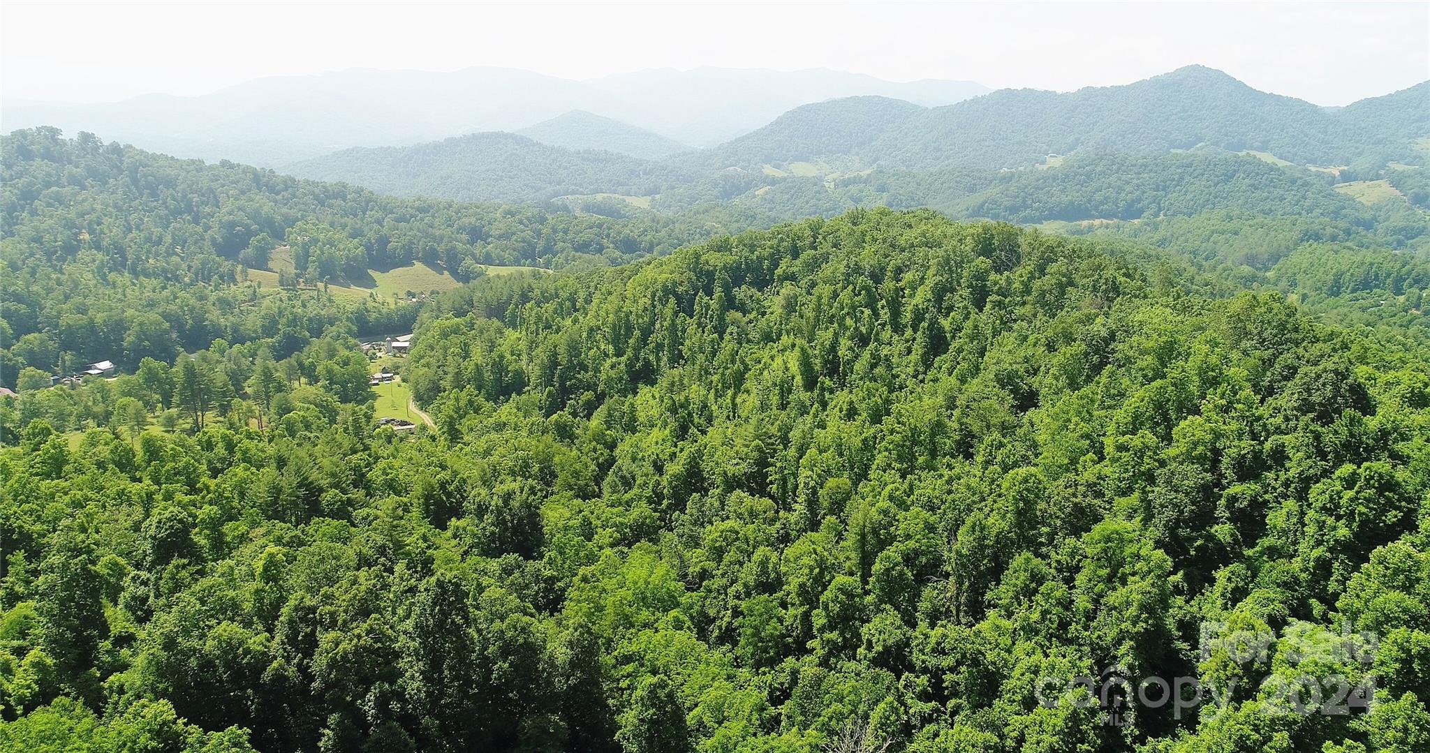 0 Hickory Nut Ridge Road Burnsville, NC 28714 - Photo 25 of 34 Gallery Image 25