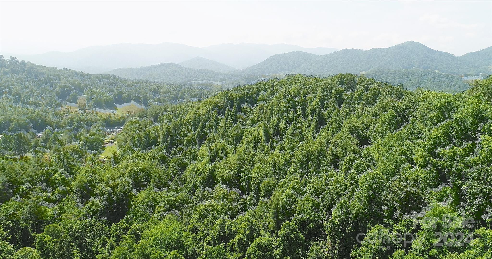 0 Hickory Nut Ridge Road Burnsville, NC 28714 - Photo 26 of 34 Gallery Image 26