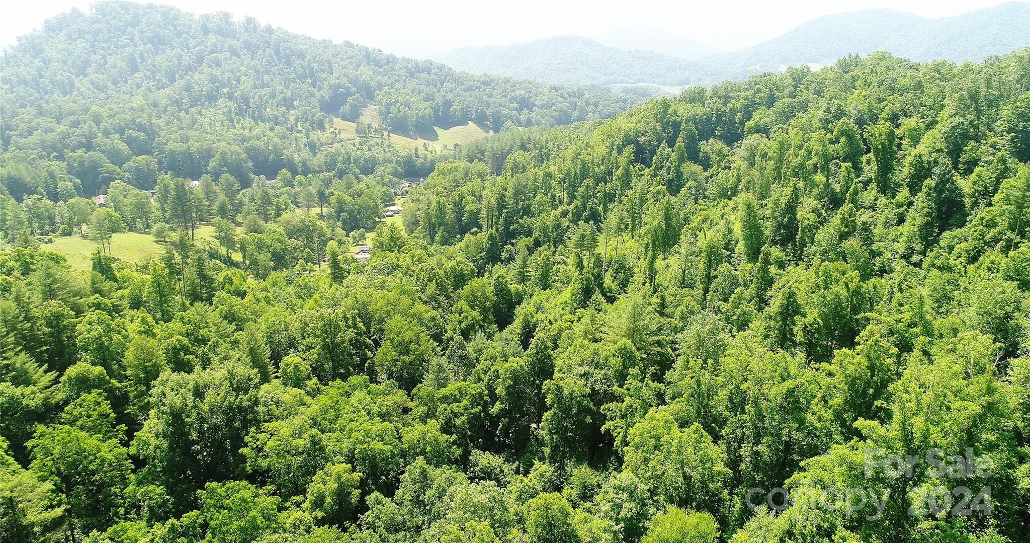 0 Hickory Nut Ridge Road Burnsville, NC 28714 - Photo 27 of 34 Gallery Image 27