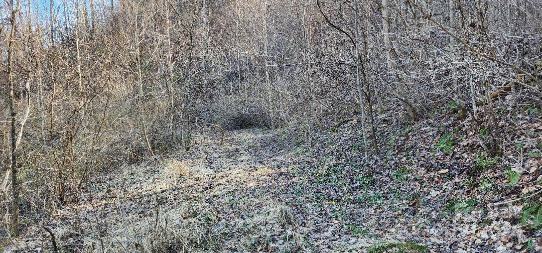 0 Hickory Nut Ridge Road Burnsville, NC 28714 - Photo 28 of 34 Gallery Image 28