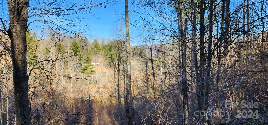 0 Hickory Nut Ridge Road Burnsville, NC 28714 - Photo 32 of 34 Gallery Image 32